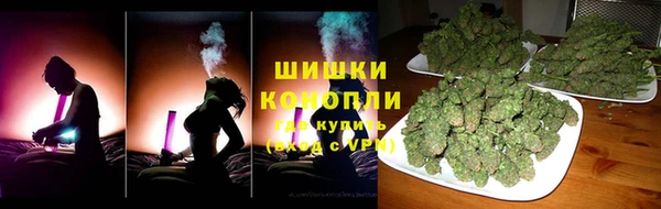 стаф Медногорск