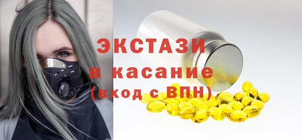 стаф Медногорск