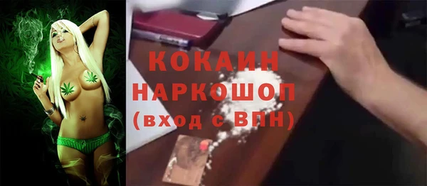 стаф Медногорск