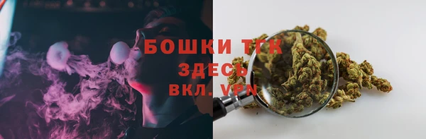 тгк Медвежьегорск
