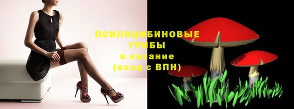 тгк Медвежьегорск