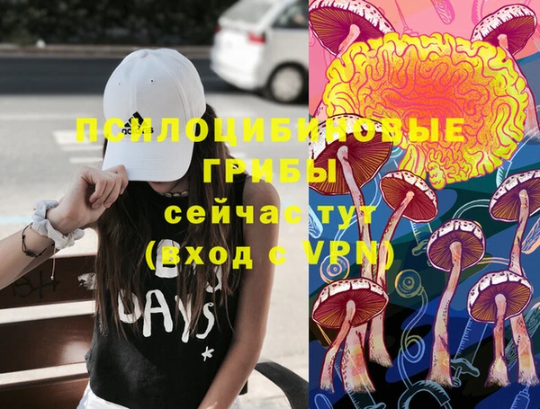 ГАЛЛЮЦИНОГЕННЫЕ ГРИБЫ Мегион