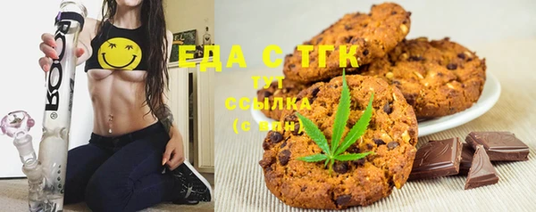 стаф Медногорск
