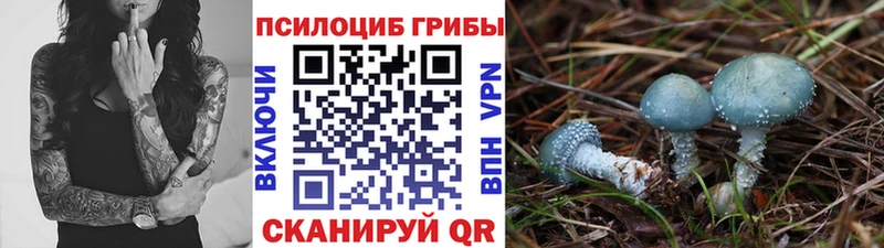 Псилоцибиновые грибы MAGIC MUSHROOMS  Духовщина 
